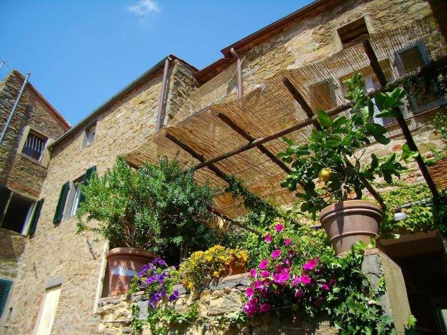 Near The Sea Big Panoramic House 2 Terraces In Lovely Village Montiano  Luaran gambar