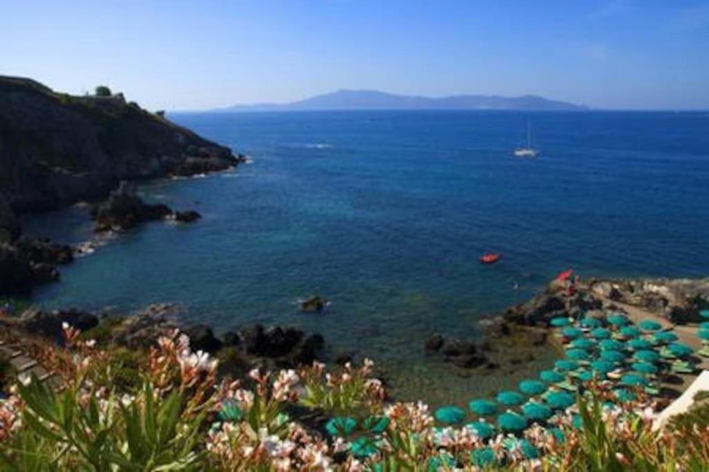 Near The Sea Big Panoramic House 2 Terraces In Lovely Village Montiano  Luaran gambar